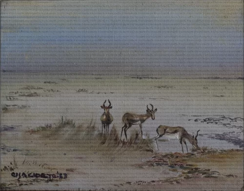 Namibia / Something to eat