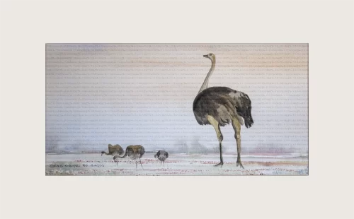 Keeping a watchful eye