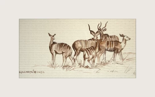 Kudu