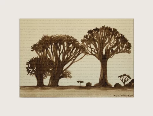 Kokerbome, Keetmanshoop