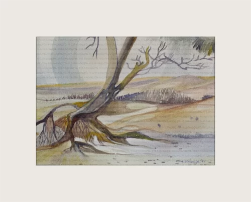 A tree nearby, Namibia