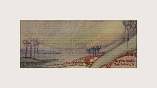 Lines & Shapes in nature