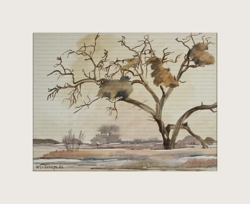 Versamelnes, Namibia