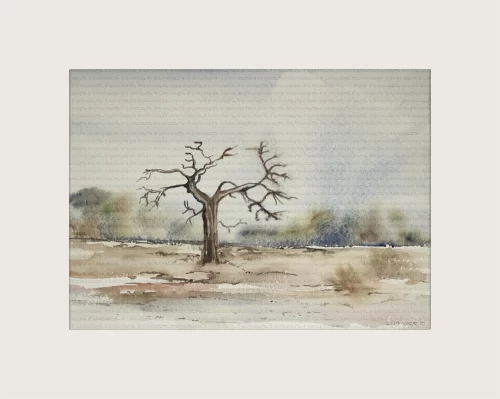 Near Oshakathi, Namibia