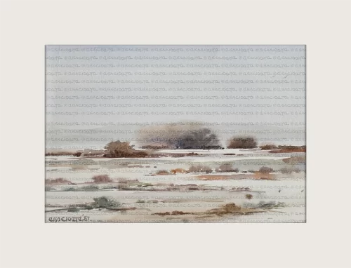 Naby Kimberly, South Africa