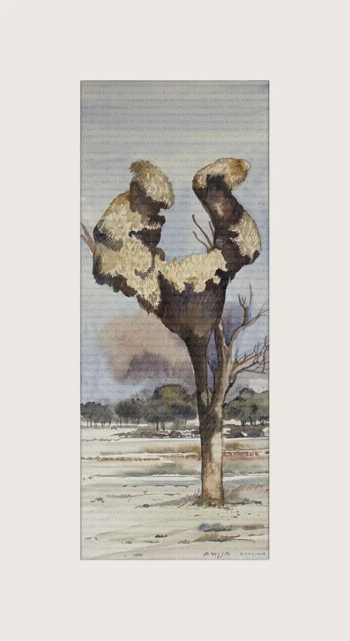 Versamelnes II, Namibia