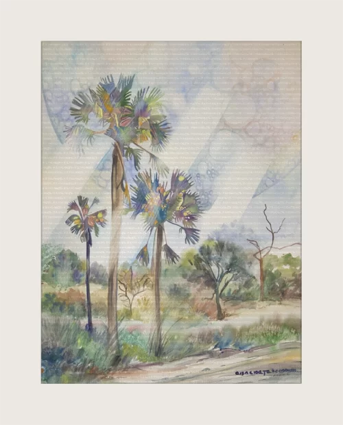 Makelanie Palms, Grootfontein, Namibia