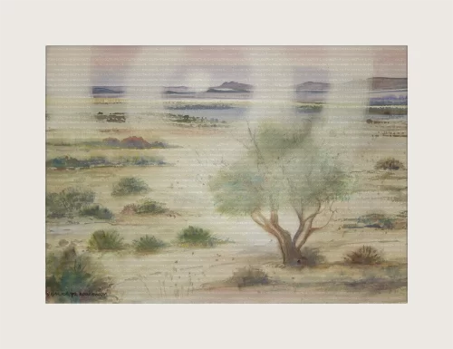 Thorntree, Kimberly RSA