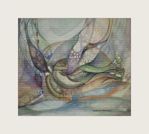 Birth of a sea anemone