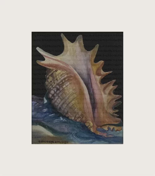 Treasures of the sea