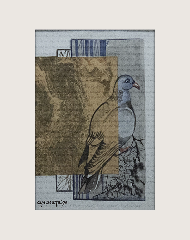 Noag het ’n duif losgelaat I