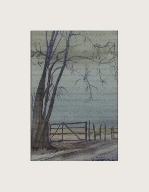 On my way to the farm